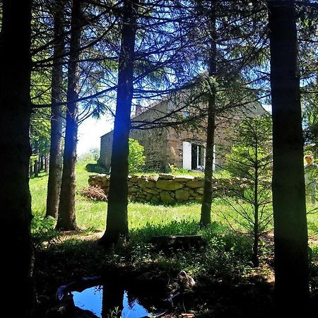 La Ferme Du Crie Bed & Breakfast Chaudeyrolles Luaran gambar