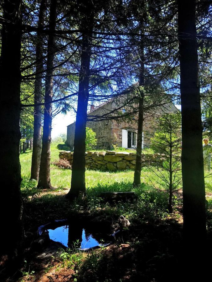 La Ferme Du Crie Bed & Breakfast Chaudeyrolles Luaran gambar
